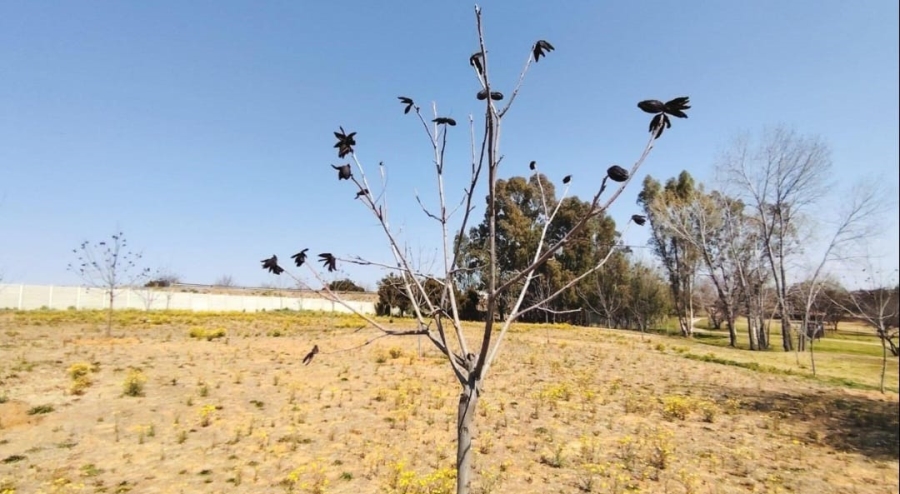 7 Bedroom Property for Sale in Deneysville Free State